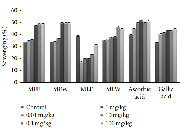 Experimental Assessment of Moringa