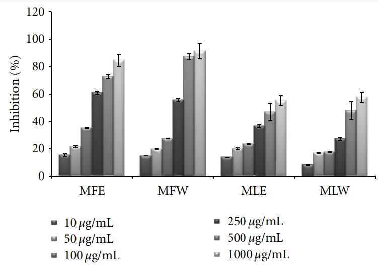 Experimental Assessment of Moringa