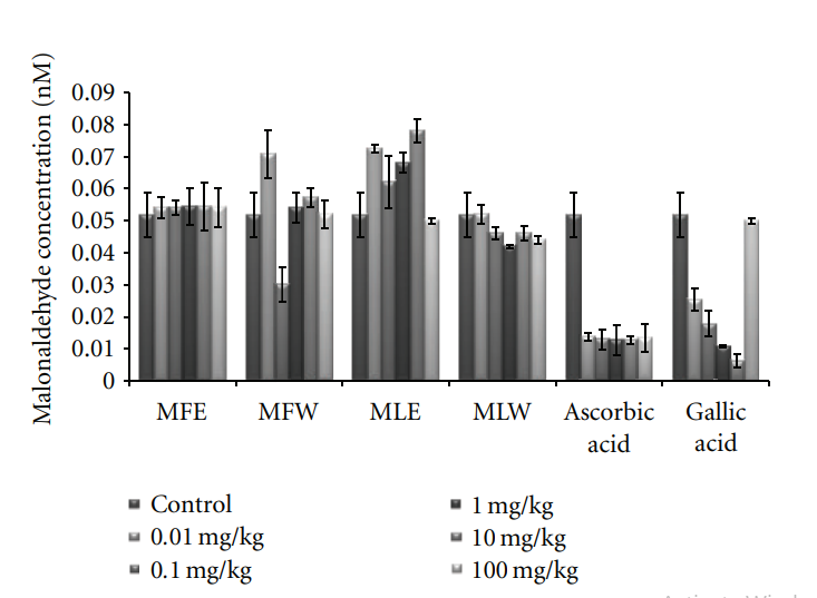 Experimental Assessment of Moringa