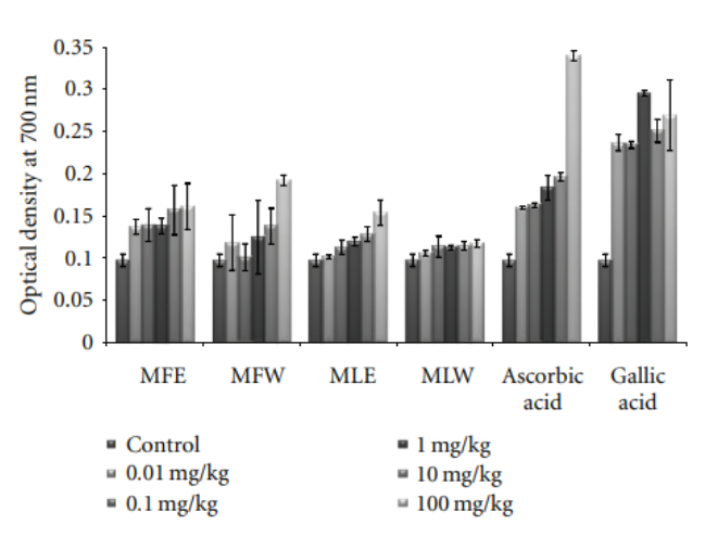 Experimental Assessment of Moringa