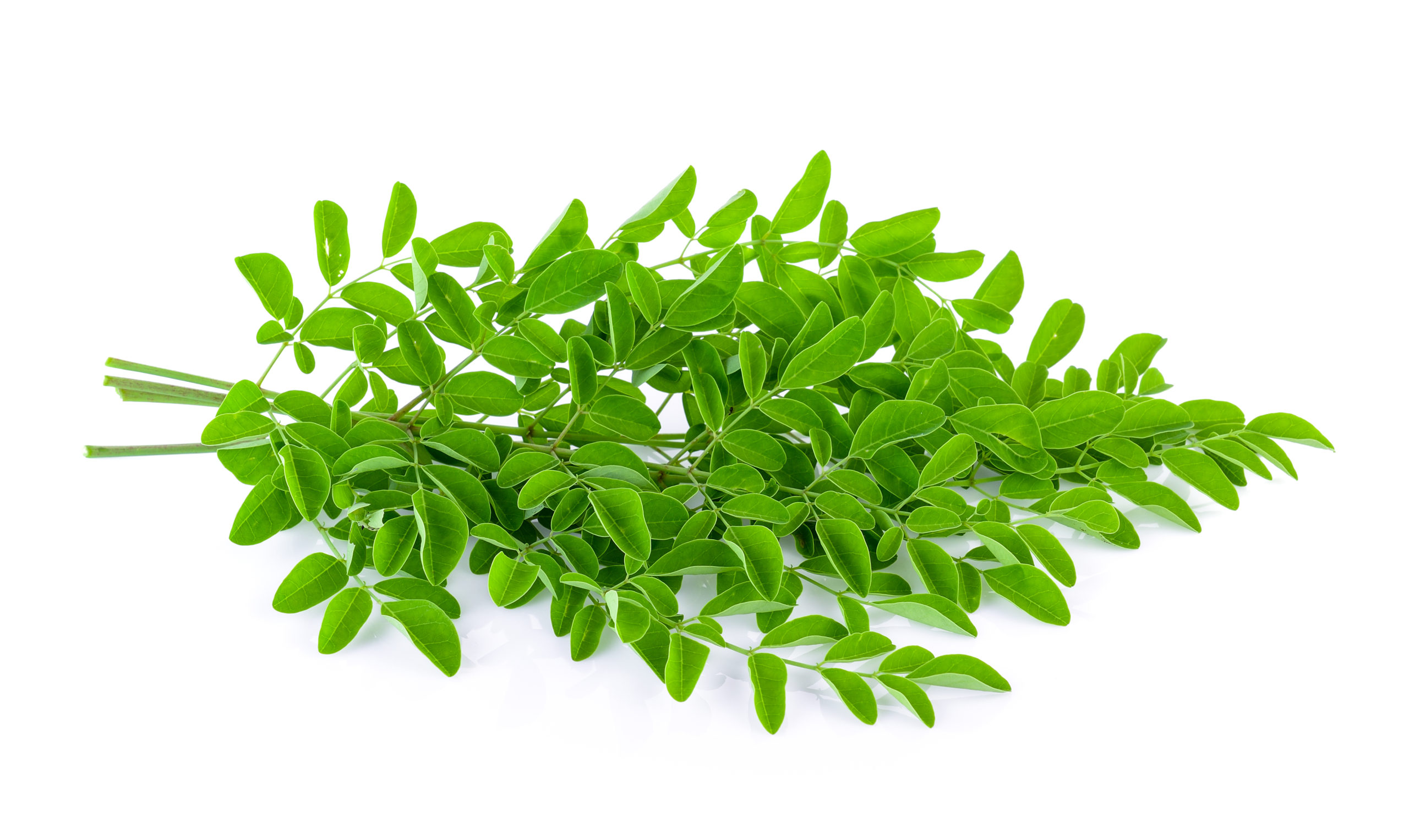 Benefits of Moringa Leaf